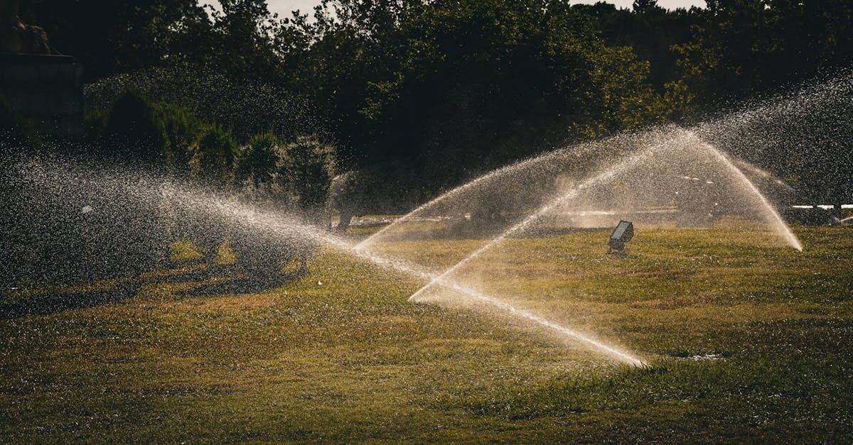 Picături care fac minuni: proiecte DIY de irigare ușoare și ieftine pentru orice grădină