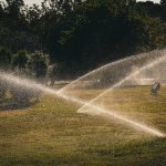 Picături care fac minuni: proiecte DIY de irigare ușoare și ieftine pentru orice grădină