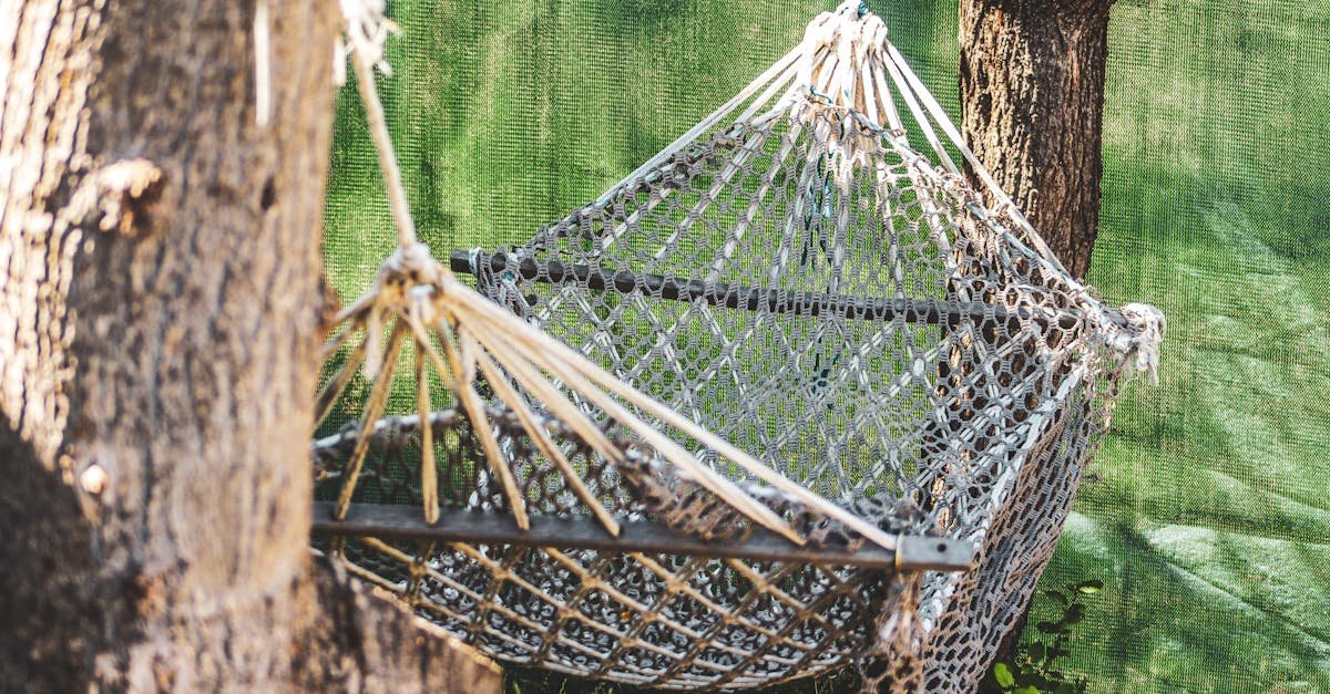 Grădină ca-n vacanță: 12 idei ingenioase pentru hamace între copaci