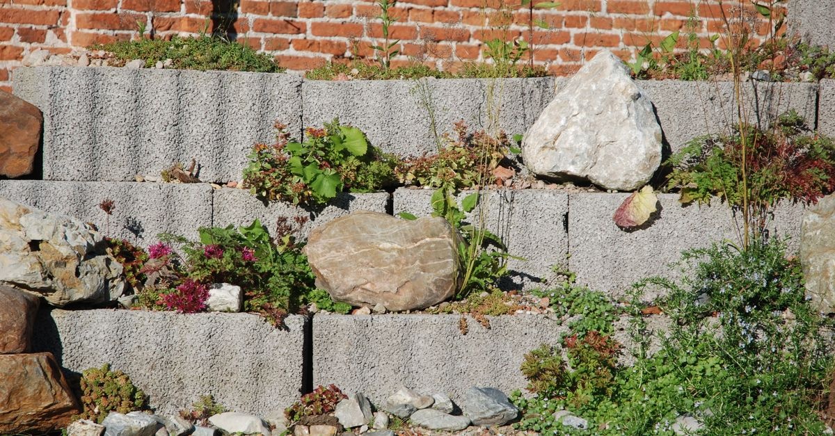 Arhitectură naturală în grădină: straturi spectaculoase din bolovani de câmp, ușor de construit