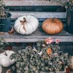 Magia toamnei în grădină: 21 de idei fermecătoare de decor cu dovleci
