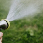 Mică grădină, gazon mare: bazele unei peluze verzi tot anul