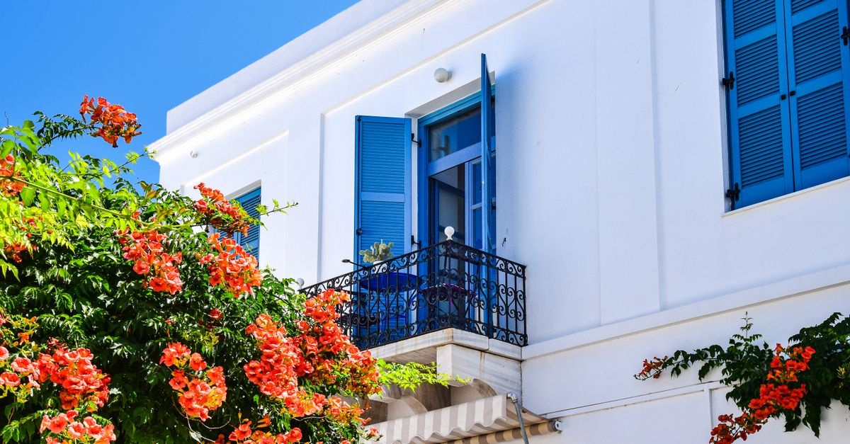 Balcon scăldat în soare: 12 plante care înfruntă seceta și colorează spațiul tot sezonul