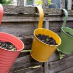 Arome la înălțime: idei ingenioase de ghivece suspendate cu plante aromatice pentru orice spațiu