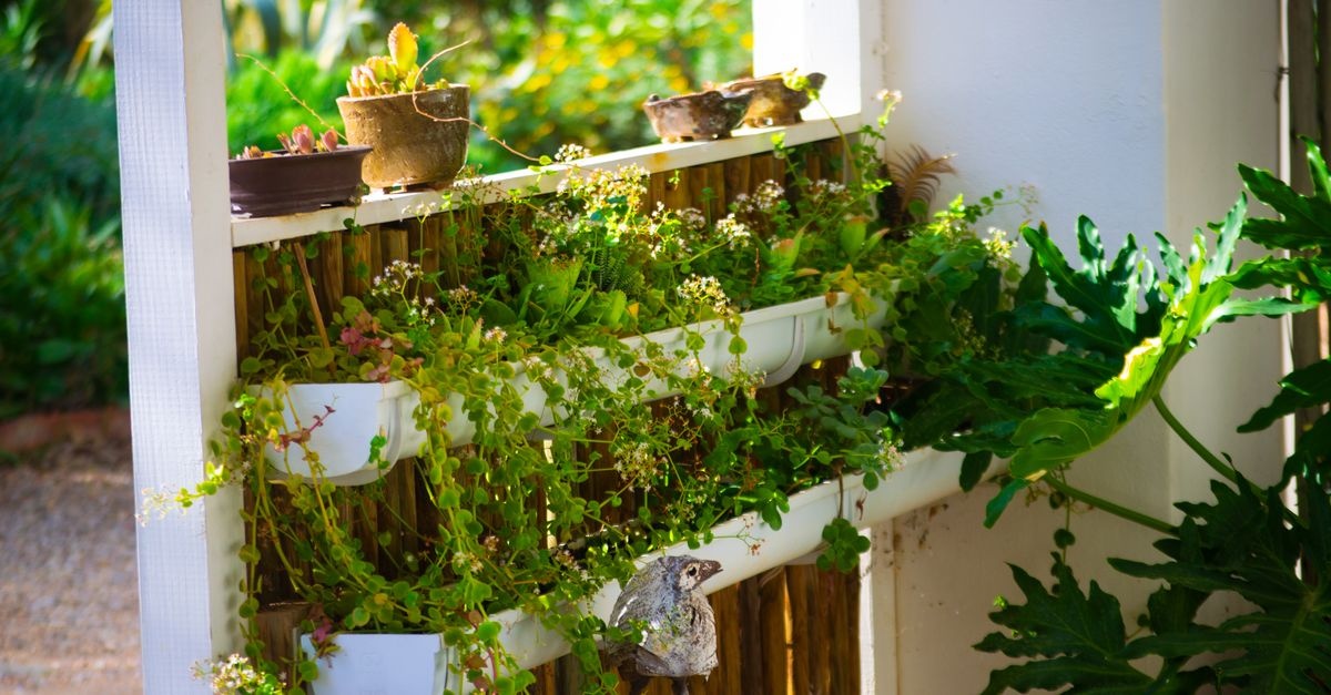 PVC reinventat: suporturi de flori DIY care îți transformă grădina și balconul